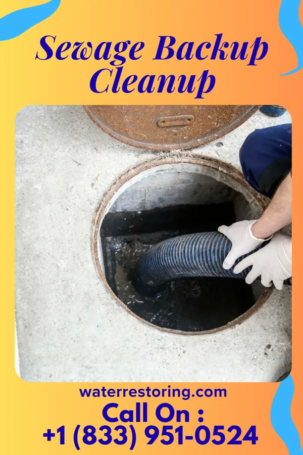 Sewage Backup Cleanup in Baden, MD