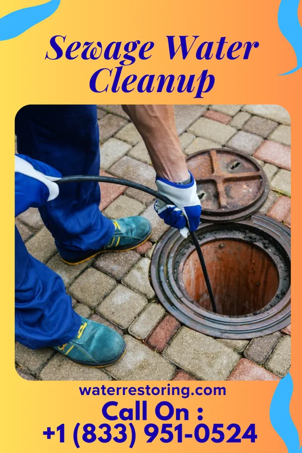 Sewage Water Cleanup in Baden, MD