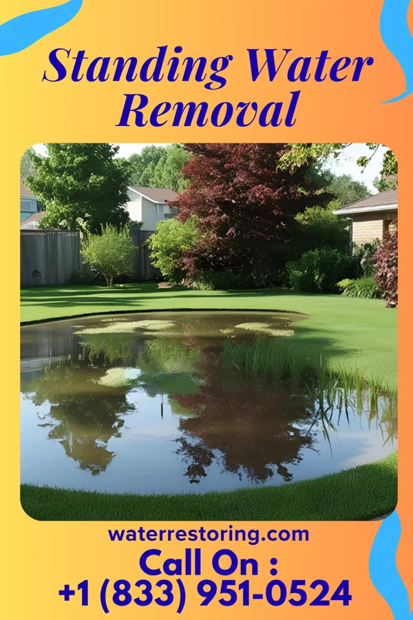 Standing Water Removal in Baden, MD